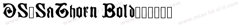 DS-SaThorn Bold字体转换